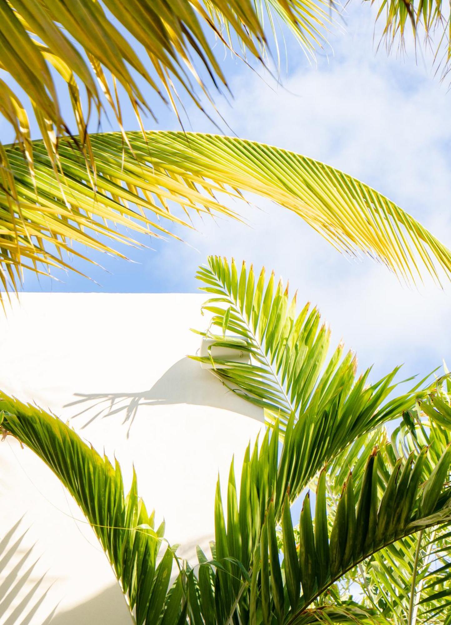 Le Martin Boutique Hotel Cul de Sac Bagian luar foto